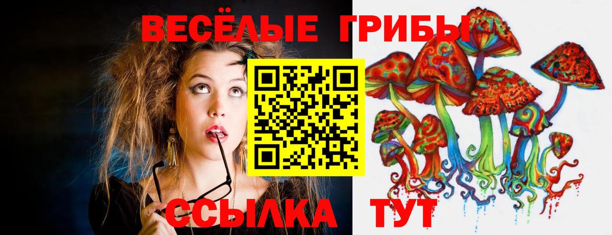 Галлюциногенные грибы Psilocybine cubensis Ишимбай