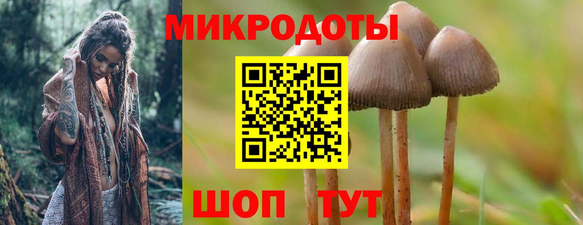 Ишимбай  Псилоцибиновые грибы Magic Shrooms  Галлюциногенные грибы Magic Shrooms  Вход с VPN 